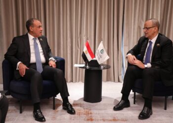 الدكتور بدر عبد العاطى وزير الخارجية وجانب من اللقاء