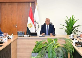 الدكتور هاتى سويلم وزير الرى