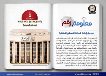 تنفيذاً للتوجيهات الرئاسية.. إطلاق صندوق إعادة هيكلة المصانع المتعثرة لدعم الاستثمار الصناعي