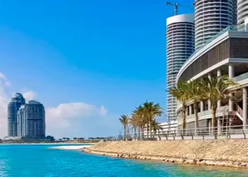 إفريقيا تجتمع في العلمين.. 3 أحداث كبرى لبحث الاستثمار ومواجهة تحديات التنمية | إنفوجراف