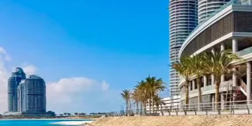إفريقيا تجتمع في العلمين.. 3 أحداث كبرى لبحث الاستثمار ومواجهة تحديات التنمية | إنفوجراف