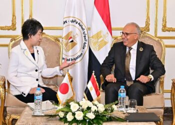 وزير الرى وجانب من اللقاء