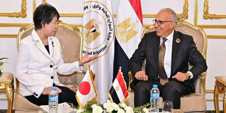 وزير الرى وجانب من اللقاء