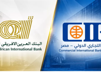 العربي الأفريقي الدولي يتصدر جودة التمويلات بين أكبر 5 بنوك خاصة .. و«التجاري الدولي» وصيفًا و«أبوظبي الإسلامي» الأسرع نموًا