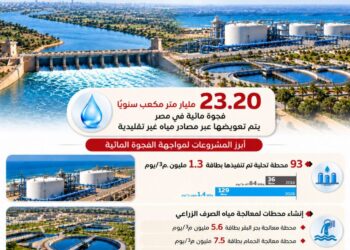 انفوجراف مركز معلومات مجلس الوزراء