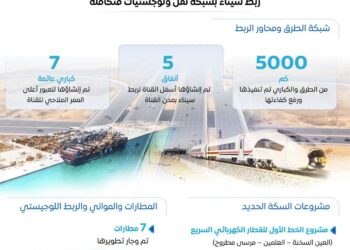 تنمية سيناء