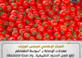 سوسة الطماطم