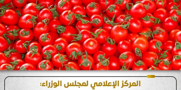 سوسة الطماطم