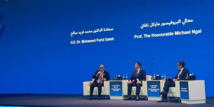 الدكتور محمد فريد صالح وزير الاستثمار وجانب من المشاركة