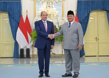 الرئيس السيسى مع الرئيس الاندونيسيى