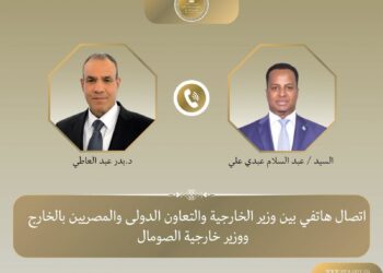 وزير الخارحية بدر عبد العاطى ونظيره الصومالى