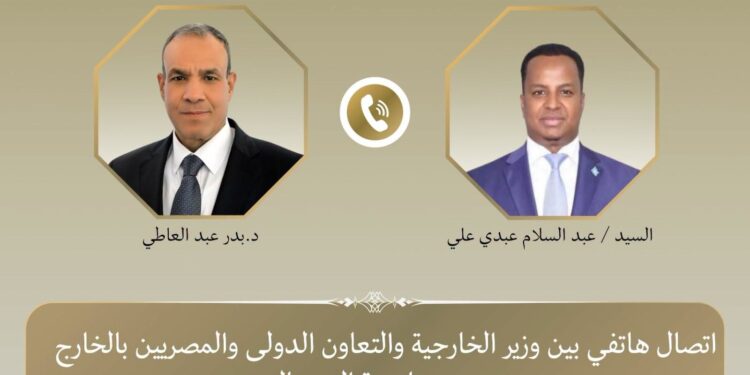 وزير الخارحية بدر عبد العاطى ونظيره الصومالى