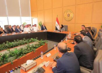 وزيرة التضامن الاجتماعي تترأس اجتماع مجلس إدارة صندوق نظام تأمين الأسرة .. نعمل علي دعم استقرار الأسر المستفيدة