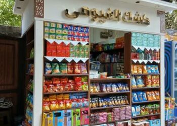 محافظ القاهرة: لا أكشاك جديدة.. والتجديد بالنموذج الموحد أو إلغاء الترخيص ومهلة حتى ديسمبر لتوفيق الأوضاع