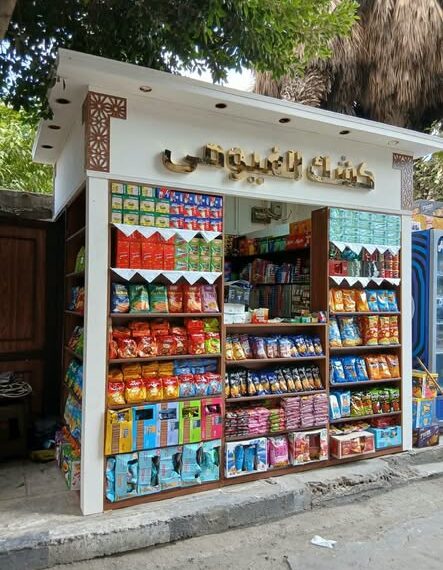 محافظ القاهرة: لا أكشاك جديدة.. والتجديد بالنموذج الموحد أو إلغاء الترخيص ومهلة حتى ديسمبر لتوفيق الأوضاع