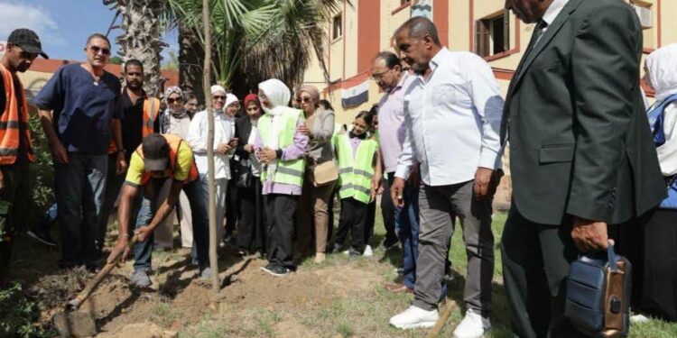 زراعة 1000 شجرة ببورسعيد ضمن مبادرة الرئاسة .. وتوجيهات بالتوسع في تشجير المدارس والطرق