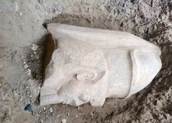 مفاجأة أثرية في الغربية.. رأس عملاقة لرمسيس الثاني وتمثال ملكي بطول 2.4 متر يخرجان إلى النور .. بهبيت الحجارة تكشف أسرارًا جديدة من مصر القديمة