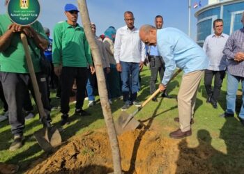 بينها “الجاكراندا والبونسيانا”.. “التنمية المحلية والبيئة” تبدأ زراعة 4800 شجرة بمحاور وميادين السويس