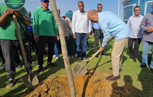 بينها “الجاكراندا والبونسيانا”.. “التنمية المحلية والبيئة” تبدأ زراعة 4800 شجرة بمحاور وميادين السويس