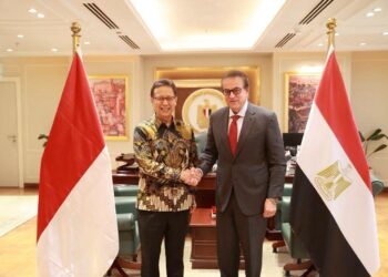 مصر وإندونيسيا تبحثان تعزيز التعاون الصحي وتطوير آليات تمويل المشروعات الطبية