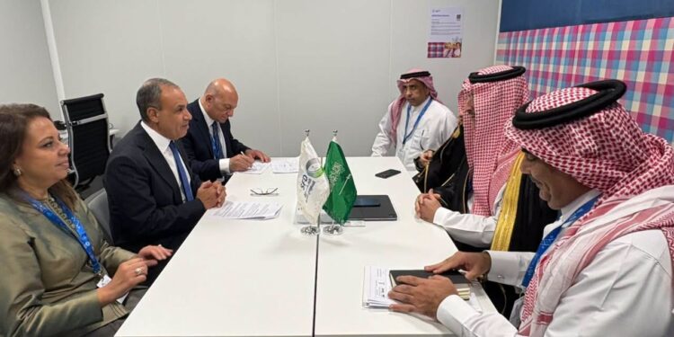 وزير الخارجية يبحث مع الرئيس التنفيذي للصندوق السعودي للتنمية تعزيز التعاون الاقتصادي والمشروعات المشتركة