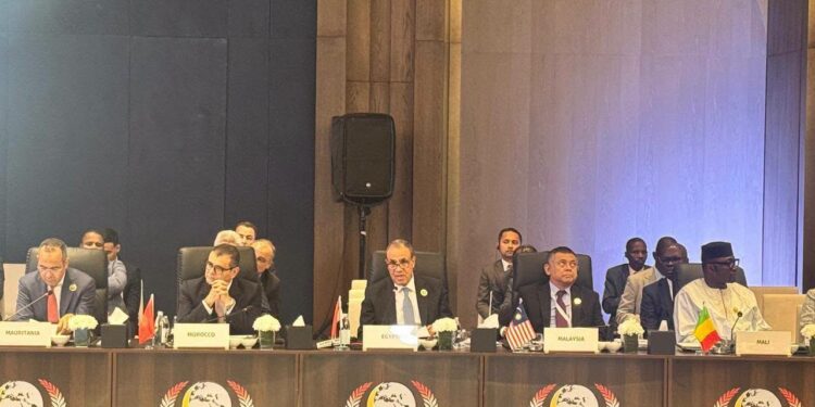 وزير الخارجية يستعرض ثوابت الموقف المصري تجاه القضية الفلسطينية وأزمات المنطقة أمام منظمة التعاون الإسلامي