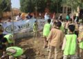 وزيرة التنمية المحلية : زراعة 3620 شجرة ببني سويف ضمن المبادرة الرئاسية لزراعة 100 مليون شجرة