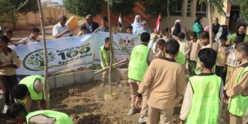 وزيرة التنمية المحلية : زراعة 3620 شجرة ببني سويف ضمن المبادرة الرئاسية لزراعة 100 مليون شجرة