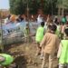 وزيرة التنمية المحلية : زراعة 3620 شجرة ببني سويف ضمن المبادرة الرئاسية لزراعة 100 مليون شجرة