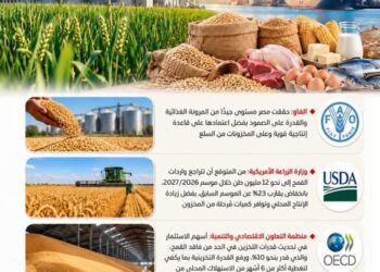 مجلس الوزراء : من القمح إلى الدواجن والأسماك .. الإنتاج المحلي والمخزون الاستراتيجي يعززان قدرة مصر على مواجهة أزمات الغذاء .. إنفوجراف