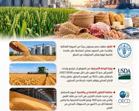 مجلس الوزراء : من القمح إلى الدواجن والأسماك .. الإنتاج المحلي والمخزون الاستراتيجي يعززان قدرة مصر على مواجهة أزمات الغذاء .. إنفوجراف
