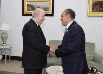 وزير الخارجية يلتقي الرئيس الجزائري ويؤكد حرص مصر على تعزيز التعاون والتنسيق المشترك
