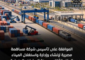 الحكومة توافق على تأسيس شركة «ميناء السادات الجاف والبري» لتعزيز الخدمات اللوجستية