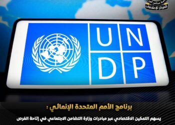 الأمم المتحدة تشيد بجهود التضامن في ربط الحماية الاجتماعية بالتمكين الاقتصادي