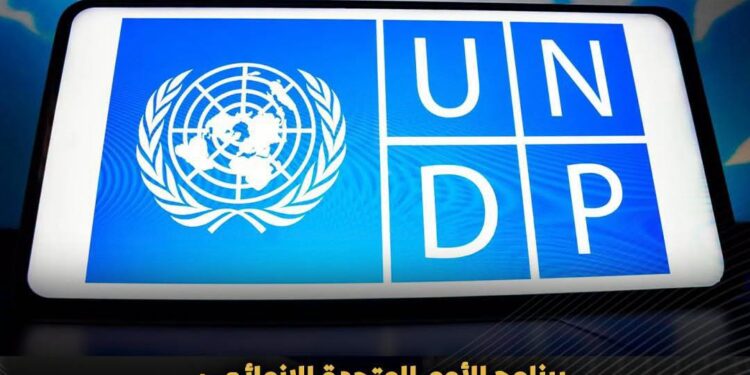 الأمم المتحدة تشيد بجهود التضامن في ربط الحماية الاجتماعية بالتمكين الاقتصادي