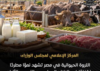 الثروة الحيوانية