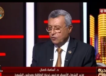 وزير البترول الأسبق: محطة الضبعة النووية ستغطي 15% من احتياجات مصر من الكهرباء