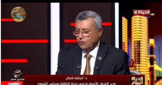 وزير البترول الأسبق: محطة الضبعة النووية ستغطي 15% من احتياجات مصر من الكهرباء