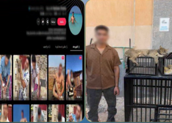 ضبط صانع محتوى بتهمة تربية حيوانات وزواحف خطرة أعلى عقار سكنه بكفر الشيخ