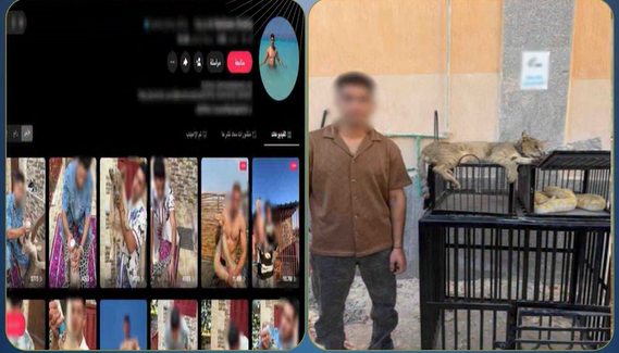 ضبط صانع محتوى بتهمة تربية حيوانات وزواحف خطرة أعلى عقار سكنه بكفر الشيخ