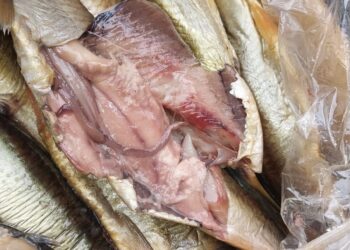ضبط 1.5 طن “رنجة” فاسدة قبل طرحها للأسواق بالتزامن مع مولد السيد البدوي بالغربية