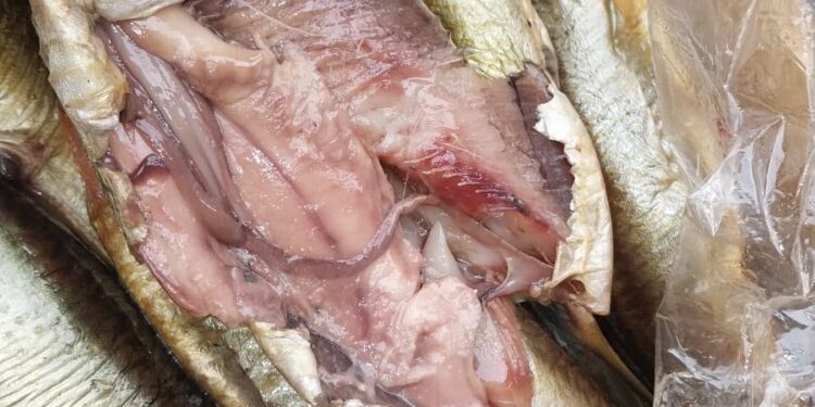 ضبط 1.5 طن “رنجة” فاسدة قبل طرحها للأسواق بالتزامن مع مولد السيد البدوي بالغربية