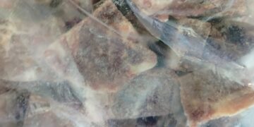 ضبط 2 طن مقطعات لحوم مجمدة منتهية الصلاحية في القناطر الخيرية بحملة بيطرية بالقليوبية