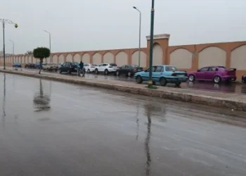 طقس الإثنين: مائل للحرارة شمالاً شديد الحرارة جنوباً.. مع فرص لأمطار خفيفة وشبورة صباحية