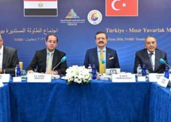 وزير المالية يستعرض الفرص الاستثمارية في مصر أمام مستثمرين أتراك