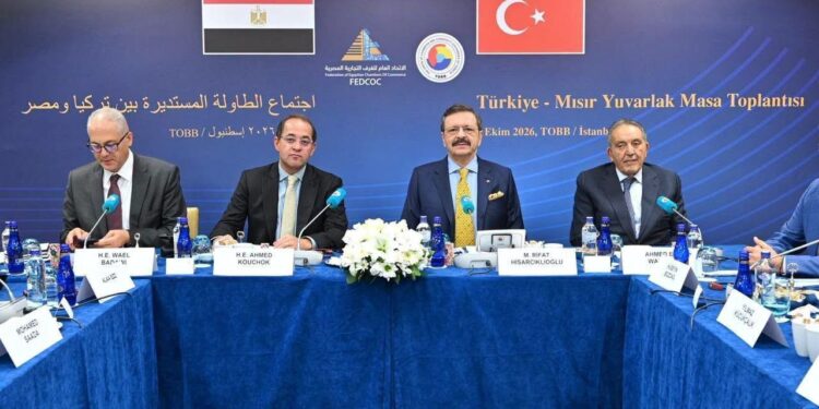 وزير المالية يستعرض الفرص الاستثمارية في مصر أمام مستثمرين أتراك